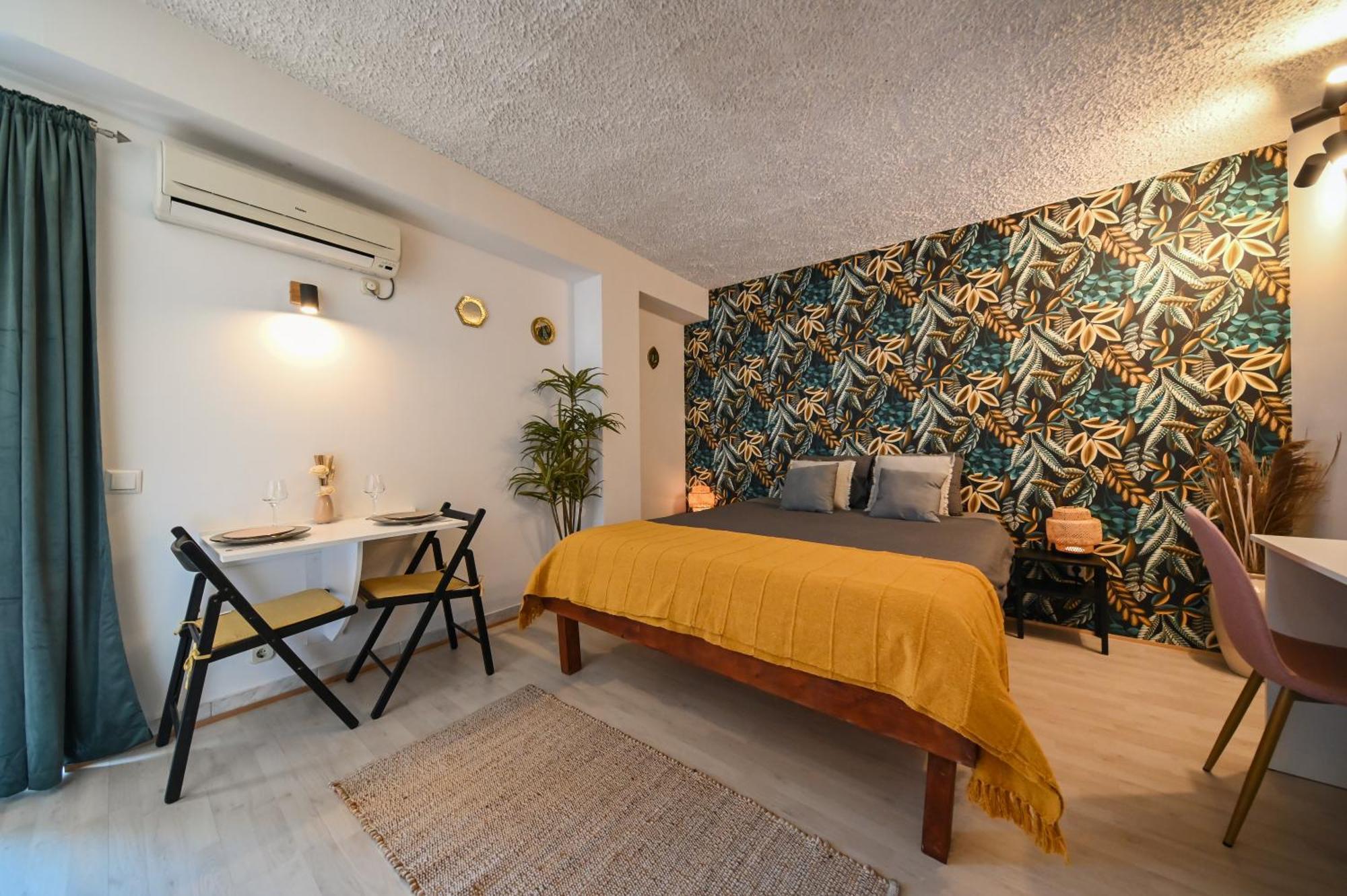 The Lazy Monkey & Zadar