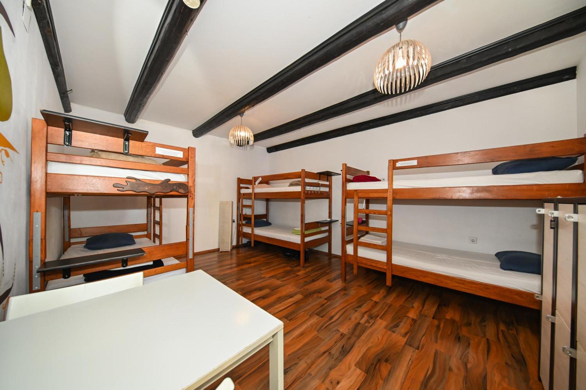 Hostel The Lazy Monkey &